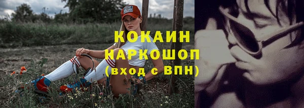 мяу мяу мука Беломорск
